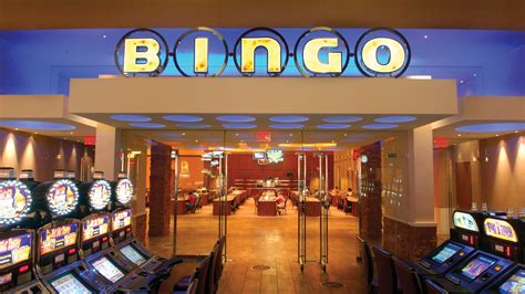 Bingo on the box casino login